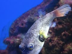 -泉城欧乐堡海洋极地世界