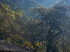 -秦岭终南山世界地质公园翠华山景区