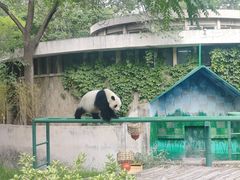 -天津市动物园
