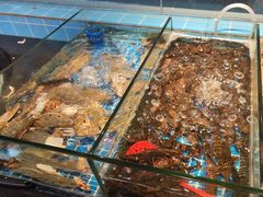 -争先鲜·蒸汽海鲜自助·鲜切牛肉