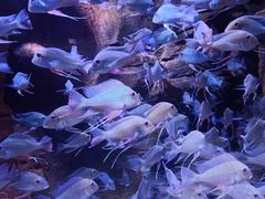 -成都浩海立方海洋公园