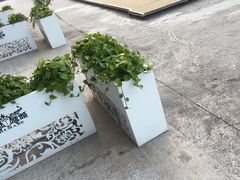 -移动谜城·大笨象密室逃脱(五棵松店)