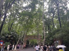 -灵谷景区