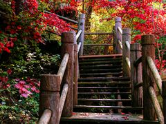 -九如山休闲旅游度假区