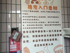 -有喵·猫咖·狗咖·30几只猫10只小狗(岗厦店)