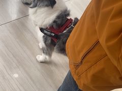-申普宠物医院·眼科·心内科·影像科(普陀分院)