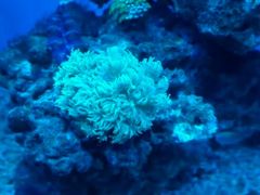 -常州海昌海洋探索馆
