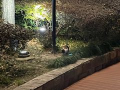 -苏州河梦清园环保主题公园