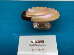 -青岛贝壳博物馆