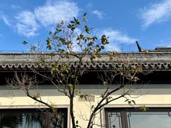 -杭州西湖柳莺里酒店·闻莺厅