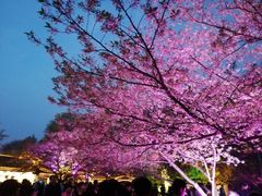 -山明水秀大饭店