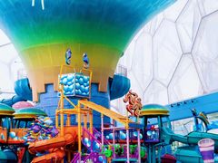 -水立方嬉水乐园