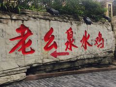 -老幺泉水鸡