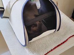 -宠颐生宠物医院·骨外科·犬猫全科诊疗中心(池州店)