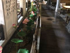 -秀水人家