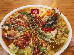 高压鱼头-陈记高压锅鱼头·生蚝