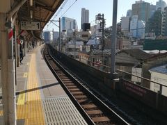 -井之头恩赐公园