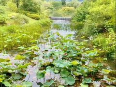 -雅达·阳羡溪山小镇中心