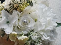 -VE DIAMOND·天然&培育钻石定制