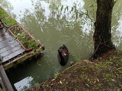 -长兴太湖图影湿地文化园