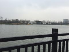 -上海长兴岛郊野公园