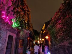 -狮王府淮扬菜(夫子庙老门东店)