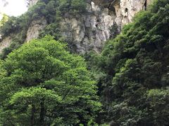-龙水峡地缝景区