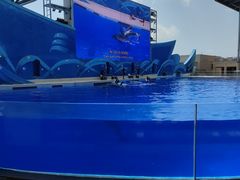 -上海海昌海洋公园