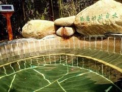 -观唐（国际）度假村温泉