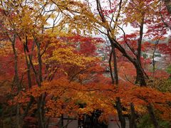 -常寂光寺