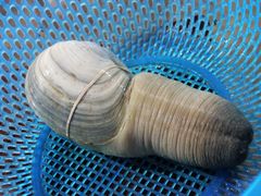 -幸福姐海鲜大排档