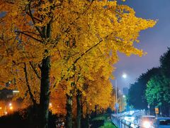 -西南政法大学(渝北校区)