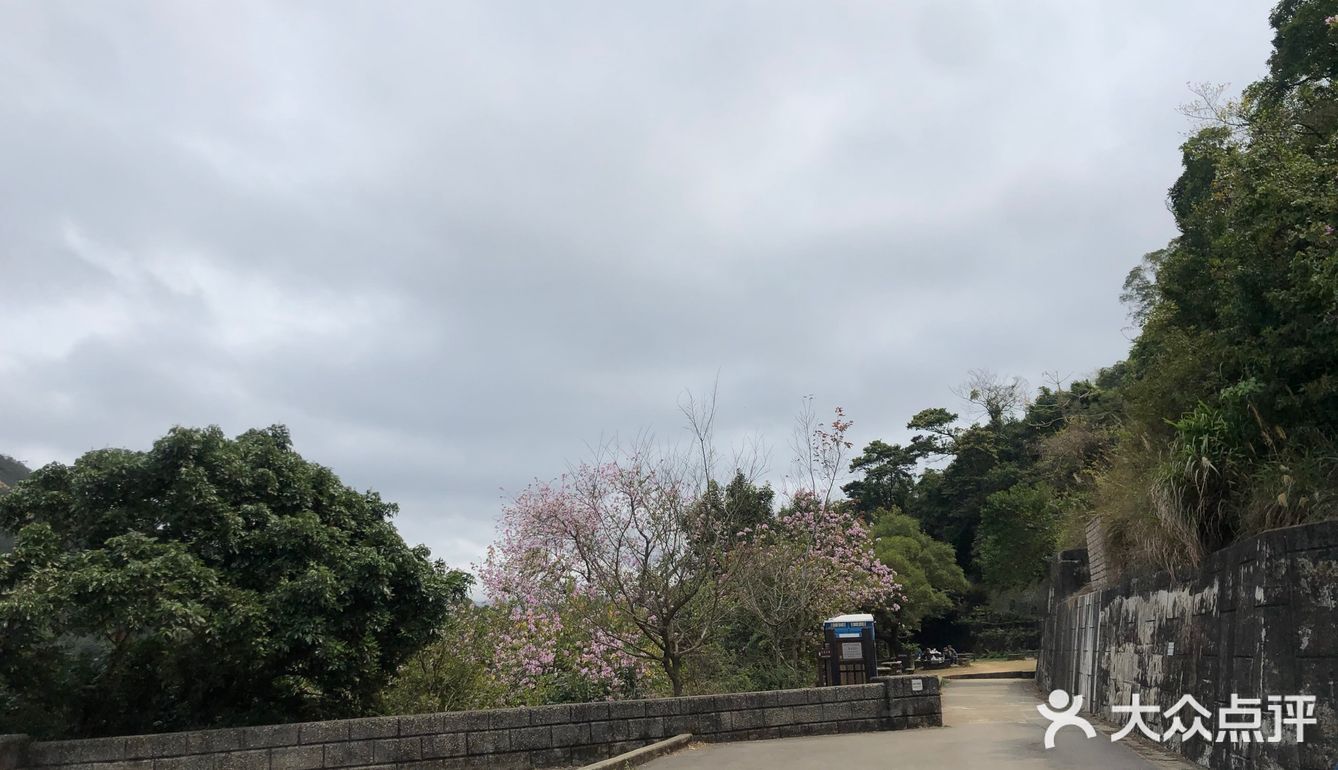 駕車行山城門水塘