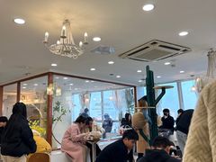 -共舞时光猫咖·狗咖(新街口店)