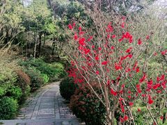 -青岛崂山太清宫