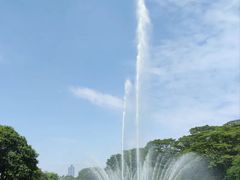 -东莞植物园