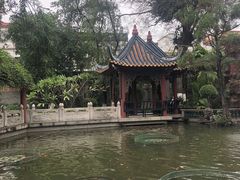 -碧江金楼