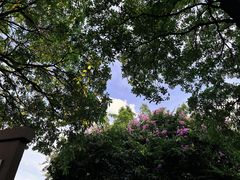 -海珠湖公园