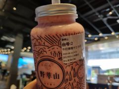 -野萃山·潮汕厚果汁(十亩地店)