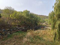 -金龙寺国家森林公园