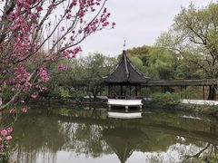 -上海醉白池公园