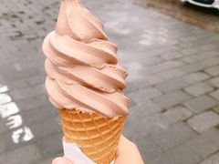 -白塘生态植物园