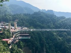 -梦幻奥陶纪景区