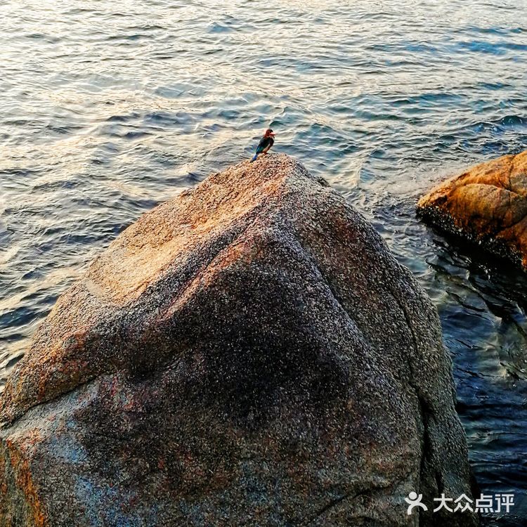 深圳最美海滨栈道，0元来这里一路海景，一路清凉