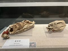 -巴音郭楞蒙古自治州博物馆