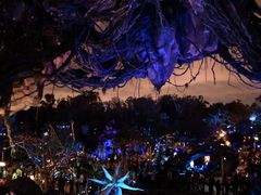 -奥兰多迪士尼动物王国乐园