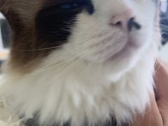 -怪兽屋·羊驼·猫咖·狗咖(俊华广场店)