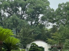 -南山植物园