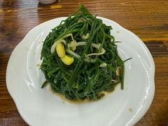-苗氏卷子鸡(张掖金鸿大厦店)