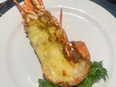 -大连富丽华大酒店·花都西餐厅